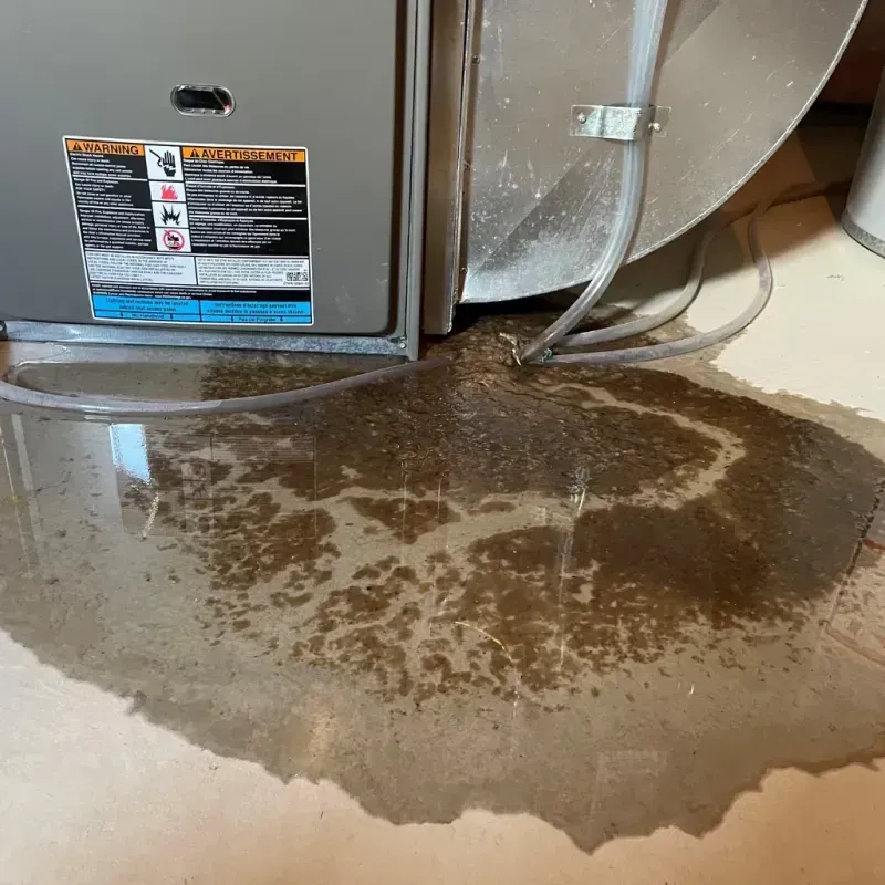 Appliance Leak Cleanup in Oak Forest, IL